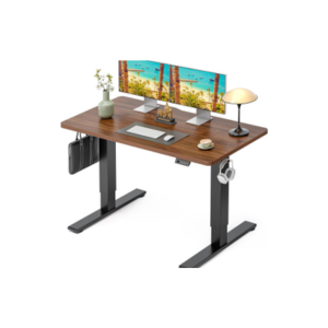 Electric Height Adjustable Standing Desk with Memory Presets