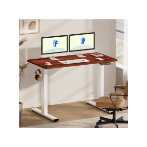 FLEXISPOT Ergonomic Height Adjustable Standing Office Desk